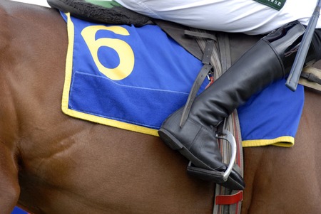 Jockey's boot in the stirrup on a racehorse.のeditorial素材