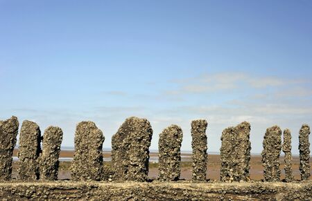 Wooden breakers on a beach landscape at Heacham on the Norfolk coast.の写真素材
