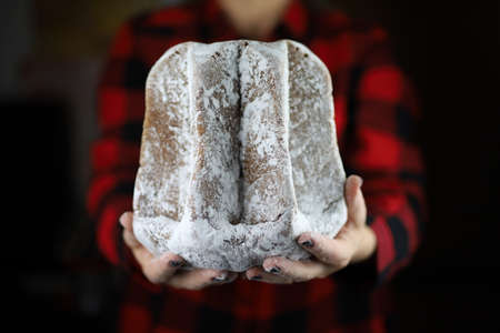 Pandoro traditional italian Christmas cake in the hands of a womanの写真素材