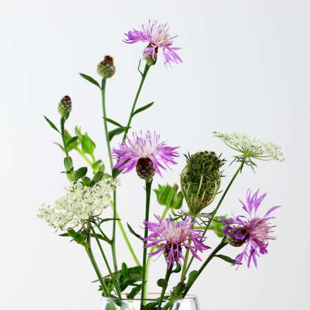 Beautiful bouquet of wild flowers, isolated on white background.の写真素材