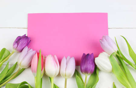 Colored tulips and empty tags on white backgroundの写真素材