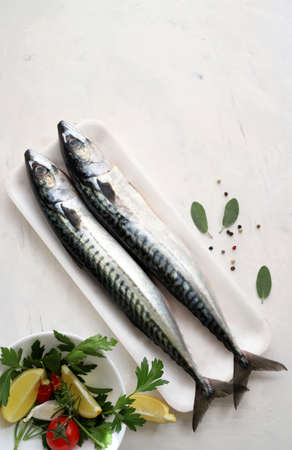 Fresh mackerel fish isolated on white background and fresh herbs and spice. Healthy food concept, mediterranean diet. Copy space. Top view.の写真素材