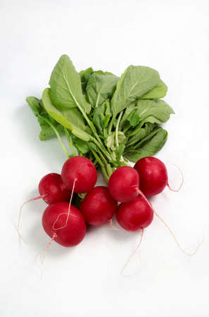 Fresh radishes isolated on white background. Top view.の写真素材
