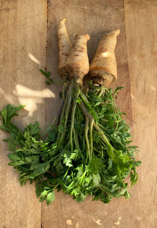 Fresh parsley with root leaf on a wooden background. Directly above.の写真素材