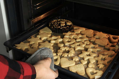 Christmas bakery. Woman hands holding homemade gingerbread cookies. Christmas and New Year...