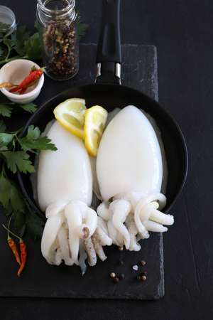 Two fresh squids with lemon and herbs prepared for cooking on dark background. Fresh seafood....