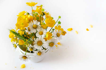 Wild flowers isolated on white background.の写真素材