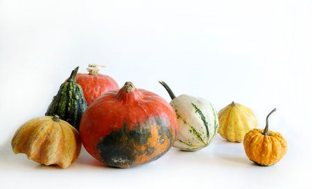 Colorful decorative pumpkins isolated on a white background. Harvest, fall and halloween minimal...