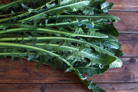 Bunch chicory Catalonia or asparagus chicory isolated on a wooden background. Fresh Italian vegetables. Healthy and vegetarian food. Directly above.の写真素材