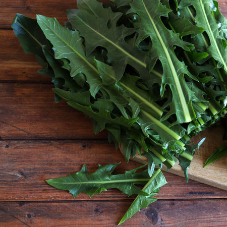 Chopped chicory Catalonia or asparagus chicory isolated on a wooden background. Fresh Italian vegetables. Healthy and vegetarian food. Directly above.の写真素材