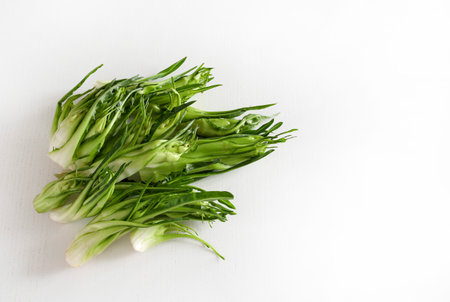 Puntarelle, typical Italian chicory isolated on a white background. Catalonia chicory. Sprouts of chicory.の写真素材