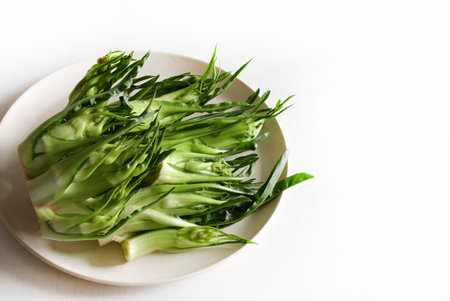 Puntarelle, typical Italian chicory isolated on a white background. Catalonia chicory. Sprouts of chicory.の写真素材