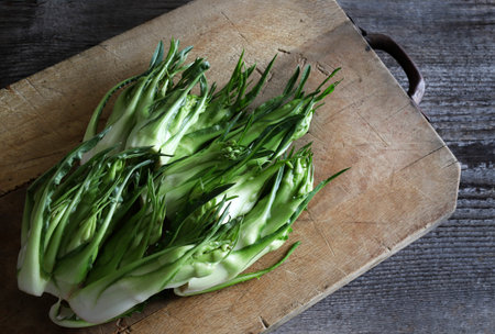 Puntarelle, typical Italian chicory isolated on a wooden background. Catalonia chicory. Sprouts of chicory.の写真素材