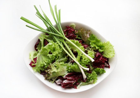 A white plate with a fresh mixed salad, made with various lettuce varieties, red radicchio, and fresh spring onions or garlic, on a white background.の写真素材