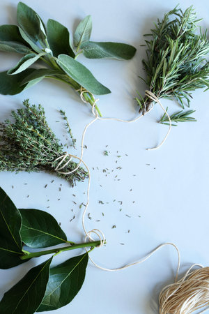 Assortment of fresh aromatic herbs, like bay leaves, thyme, sage and rosemary, used in Italian and Mediterranean cuisine, white background.の写真素材