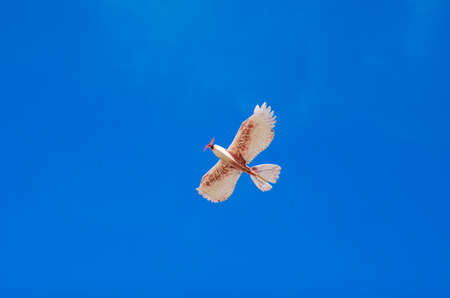 Model of bird flying in a magnificent blue sky.の写真素材