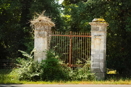 Old rusty portal covered with bushes.の写真素材