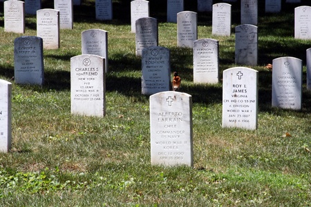 Arlington National Cemeteryのeditorial素材