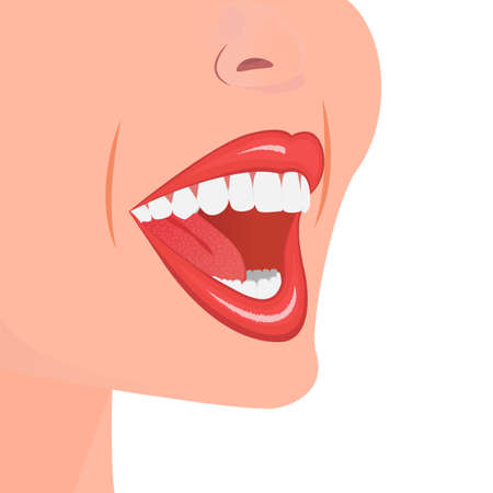 Open mouth with white teeth.   Flat isolated vector illustration on a white background.のイラスト素材