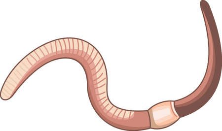 Dont forget this cute design when you go fishin.  This design is perfect to take with you when you go.  Everyone will love it.のイラスト素材