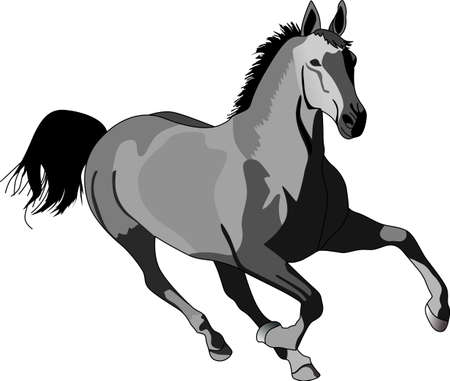 This graceful horse with the wind blowing its mane will be beautiful on a shirt, vest or jacket.  This mustang design from Great Notions is a must have item for horse owners.のイラスト素材