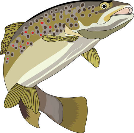 Dont forget this cute design when you go fishin.  This design is perfect to take with you when you go.  Everyone will love it!のイラスト素材