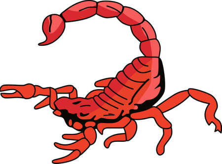 This zodiac design is perfect for those the believe.のイラスト素材