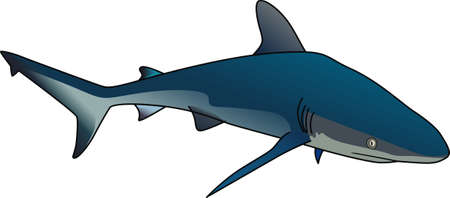 Send this cute shark to a child or child at heart.  Perfect design for a marine animal theme.  They will love it!のイラスト素材