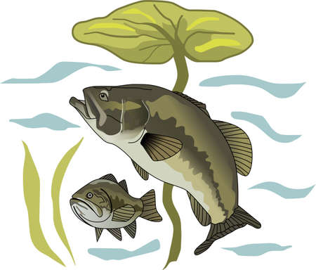 Dont forget this cute design when you go fishin.  This design is perfect to take with you when you go.  Everyone will love it!のイラスト素材