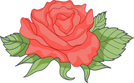 Show your pride for the New York state flower with this design from Great Notions.のイラスト素材