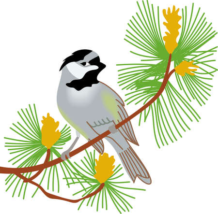 Birds are fascinating animals.  This is a perfect gift for a favorite birder you know.  They will love it!のイラスト素材
