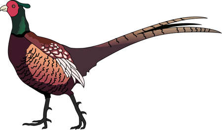 Life is simple, go hunting!  Get matching items for everyone in your group, they will love it!のイラスト素材