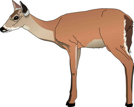 Life is simple, go hunting!  Get matching items for everyone in your group, they will love it!のイラスト素材