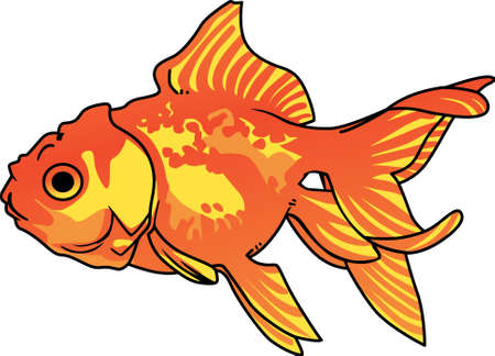 The koi is a symbol of a persons ability to have high expectations and for happiness.  This is a beautiful  design from Great Notions.のイラスト素材