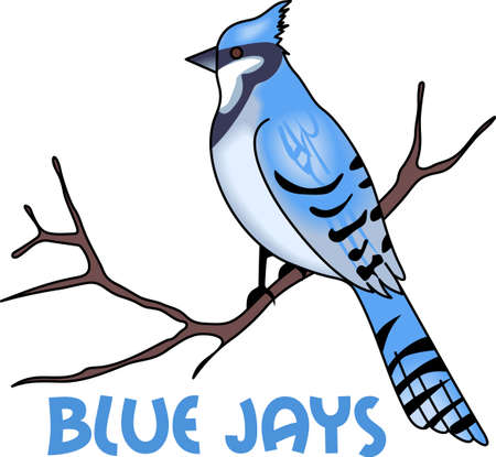 Blue Jays are the perfect winter design.  のイラスト素材