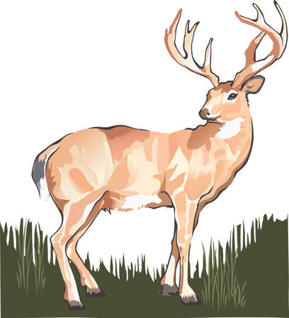 Life is simple, go hunting!  Get matching items for everyone in your group, they will love it.のイラスト素材