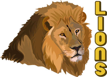 Time to cheer for the team with this  Lion mascot design.  のイラスト素材