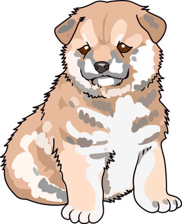 Take your Shiba Inu everywhere you go.  のイラスト素材