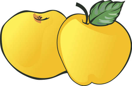 Apples are a perfect summertime treat.  Add these to your next picnic.のイラスト素材