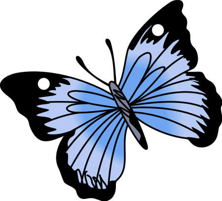 This is a beautiful butterfly for your summertime fun.  のイラスト素材