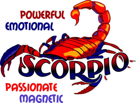 Display your astrological sign with this beautiful scorpion for the sign Scorpio. のイラスト素材