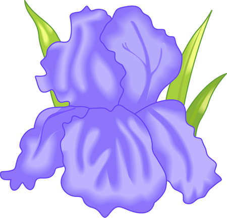 This beautiful spring flower is the perfect springtime design.のイラスト素材