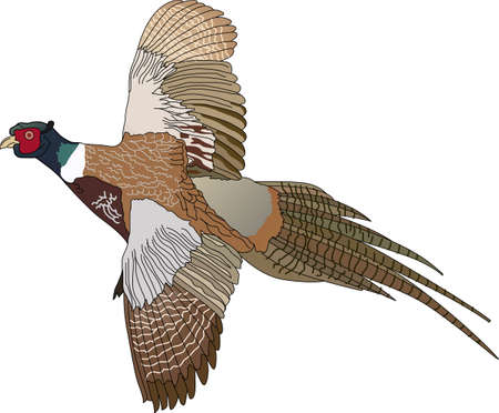 Life is simple, go hunting!  Get matching items for everyone in your group, they will love it!のイラスト素材