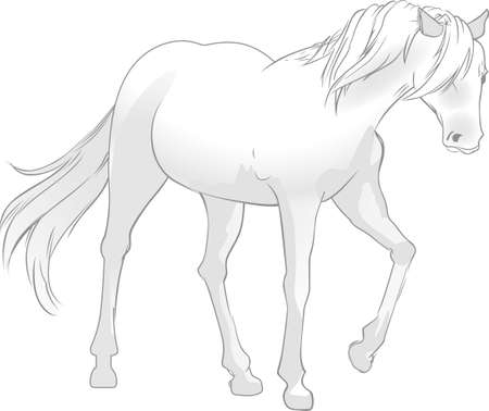 This graceful horse with the wind blowing its mane will be beautiful on a shirt, vest or jacket.  のイラスト素材