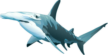 This hammerhead shark is perfect for a beach house.  Add this design to your's.のイラスト素材