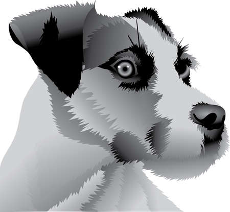 My best friend is hard at work for me.  Show everyone how much your dog means to you.  They will love it!のイラスト素材