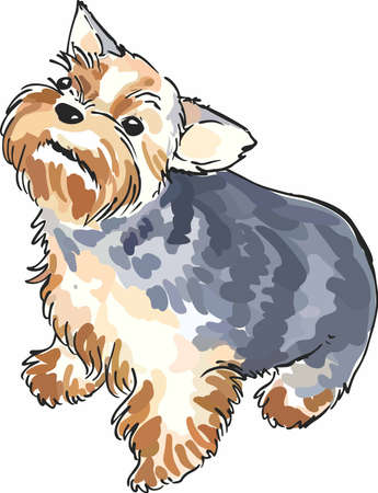 A little yorkie is always near with this cute dog.のイラスト素材
