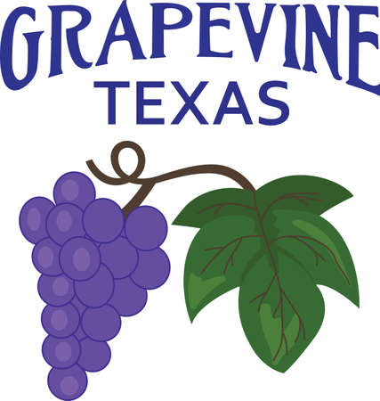 This wonderful cluster of red wine grapes stands out and makes a great gift for the connoisseur.  Pick those designs by Great Notions.のイラスト素材