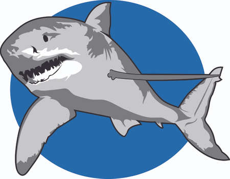 Show your team spirit with this shark logo.  Everyone will love it!のイラスト素材