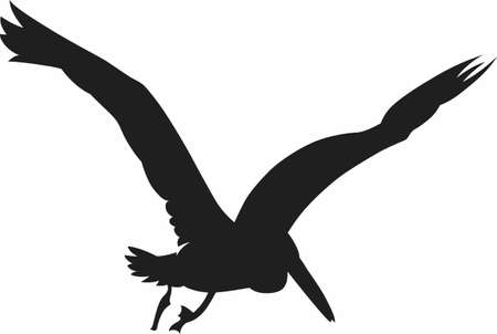 This is a beautiful image of a pelican to add to a special gift for the nature lover you know.  They will love it!のイラスト素材